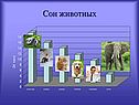 Сон животных