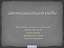 Двоякодышащие рыбы