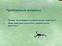 Группа животных