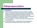 Рассмотрите с помощью лупы рака