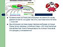 Кровеносная система
