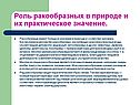 Роль ракообразных