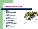 Домашнее задание