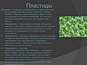 Пластиды