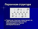 Первичная структура