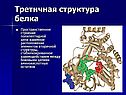 Третичная структура белка