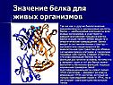 Значение белка для живых организмов