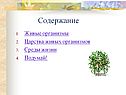 Содержание