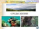 Среды жизни
