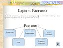 Царство Растения