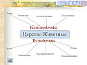 Царство Животные