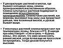 Семена промораживаются естественным образом