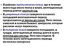 Вегетационный период длится круглый год