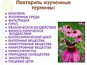 Повторить изученные термины: