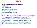 Тест