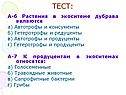 Тест: