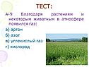 Тест: