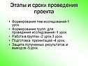 Этапы и сроки проведения проекта