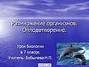 Размножение организмов