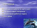 План урока