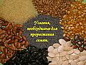 Условия, необходимые для прорастания семян