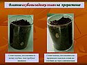 Влияние глубины заделки семян