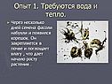 Вода и тепло
