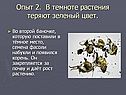 Зеленый цвет