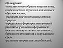 Многообразие хищных птиц