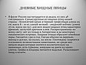 Дневные хищные птицы