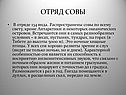 Отряд совы