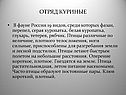 Отряд куриные