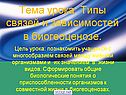 Типы связей и зависимостей в биогеоценозе