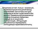 Мутуализм