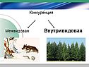 Внутривидовая