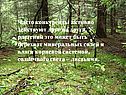 Конкуренты