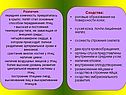 Внутреннее строение птиц