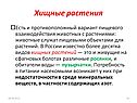 Хищные растения