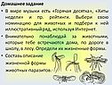 Домашнее задание