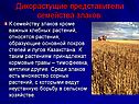 Дикорастущие представители семейства злаков