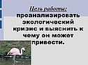 Цель работы: проанализировать экологический кризис и выяснить к чему