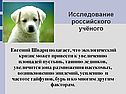 Исследование российского учёного