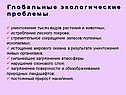 Глобальные экологические проблемы