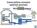 Схема работы кипящего ядерного реактора