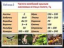 Частота колебаний крыльев насекомых и птиц в полете