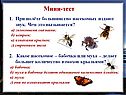 Мини-тест