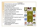 Экзамен по курсу