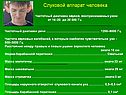 Слуховой аппарат человека