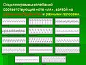 Осциллограммы колебаний