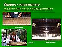 Клавишные музыкальные инструменты
